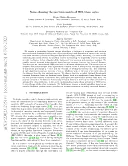 Noise-cleaning the precision matrix of fMRI time series