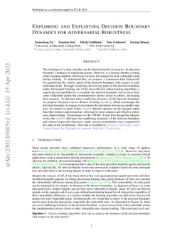 Exploring and Exploiting Decision Boundary Dynamics for Adversarial
  Robustness