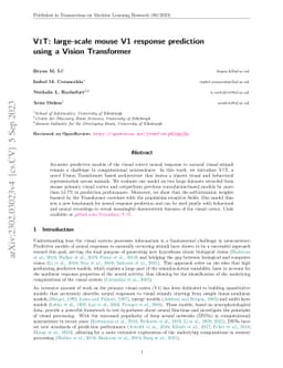 V1T: large-scale mouse V1 response prediction using a Vision Transformer
