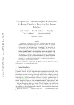 Exemplars and Counterexemplars Explanations for Image Classifiers,
  Targeting Skin Lesion Labeling