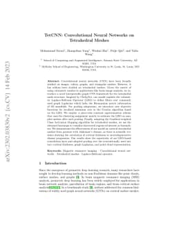 TetCNN: Convolutional Neural Networks on Tetrahedral Meshes