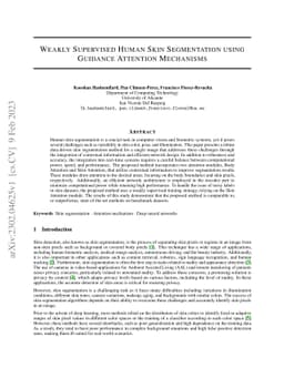 Weakly Supervised Human Skin Segmentation using Guidance Attention
  Mechanisms