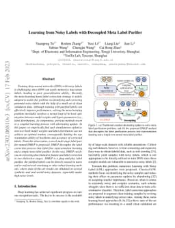 Learning from Noisy Labels with Decoupled Meta Label Purifier