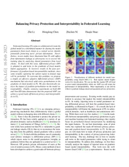Balancing Privacy Protection and Interpretability in Federated Learning