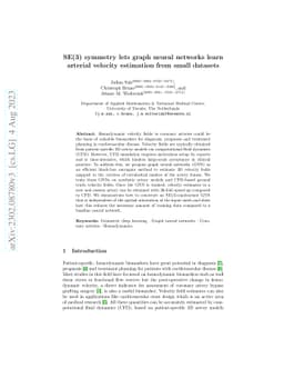 SE(3) symmetry lets graph neural networks learn arterial velocity
  estimation from small datasets