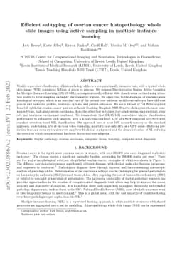 Efficient subtyping of ovarian cancer histopathology whole slide images
  using active sampling in multiple instance learning