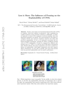 Less is More: The Influence of Pruning on the Explainability of CNNs