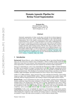 Domain Agnostic Pipeline for Retina Vessel Segmentation