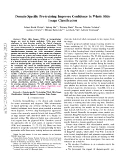 Domain-Specific Pre-training Improves Confidence in Whole Slide Image
  Classification