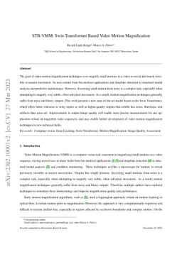 STB-VMM: Swin Transformer Based Video Motion Magnification