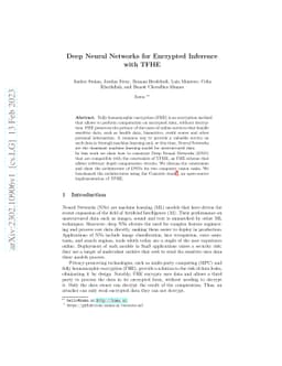 Deep Neural Networks for Encrypted Inference with TFHE