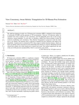 View Consistency Aware Holistic Triangulation for 3D Human Pose
  Estimation