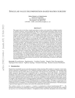 Singular value decomposition based matrix surgery