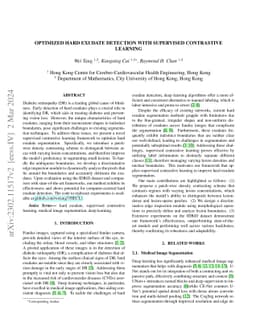 A Global and Patch-wise Contrastive Loss for Accurate Automated Exudate
  Detection