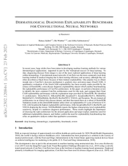 Dermatological Diagnosis Explainability Benchmark for Convolutional
  Neural Networks