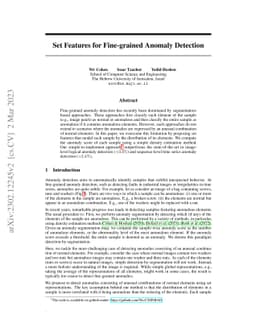 Set Features for Fine-grained Anomaly Detection