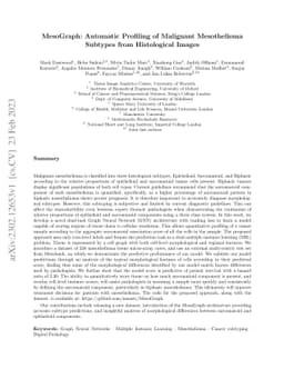 MesoGraph: Automatic Profiling of Malignant Mesothelioma Subtypes from
  Histological Images