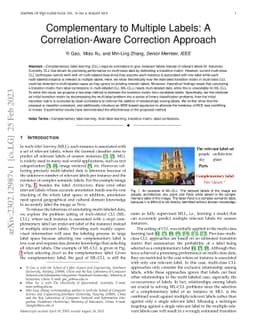 Complementary to Multiple Labels: A Correlation-Aware Correction
  Approach