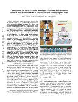 Puppeteer and Marionette: Learning Anticipatory Quadrupedal Locomotion
  Based on Interactions of a Central Pattern Generator and Supraspinal Drive