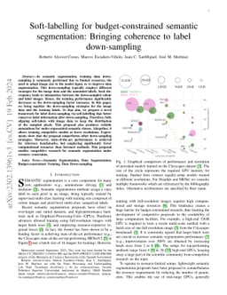 Soft labelling for semantic segmentation: Bringing coherence to label
  down-sampling