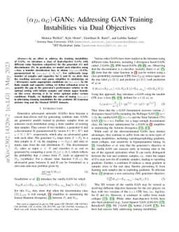 $(α_D,α_G)$-GANs: Addressing GAN Training Instabilities via
  Dual Objectives