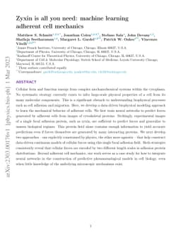 Zyxin is all you need: machine learning adherent cell mechanics