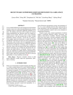 RECIST Weakly Supervised Lesion Segmentation via Label-Space Co-Training