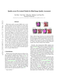 Quality-aware Pre-trained Models for Blind Image Quality Assessment