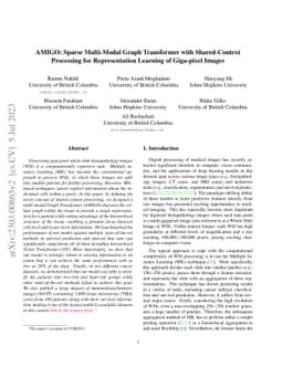 AMIGO: Sparse Multi-Modal Graph Transformer with Shared-Context
  Processing for Representation Learning of Giga-pixel Images