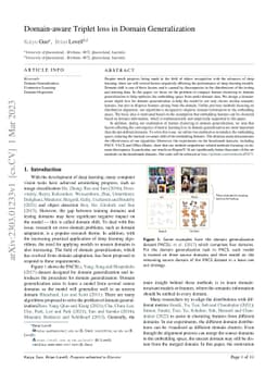 Domain-aware Triplet loss in Domain Generalization