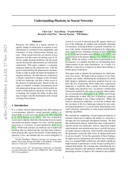 Understanding plasticity in neural networks