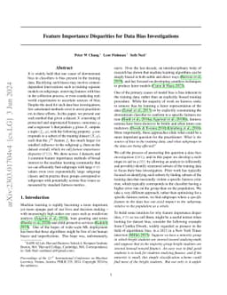 Feature Importance Disparities for Data Bias Investigations