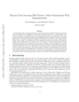 Dynamic Deep Learning LES Closures: Online Optimization With Embedded
  DNS