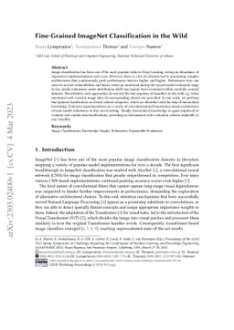 Fine-Grained ImageNet Classification in the Wild