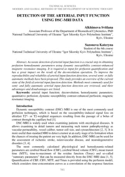 Detection of the Arterial Input Function Using DSC-MRI Data
