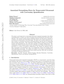 Amortized Normalizing Flows for Transcranial Ultrasound with Uncertainty
  Quantification