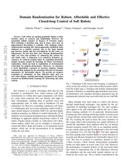Domain Randomization for Robust, Affordable and Effective Closed-loop
  Control of Soft Robots