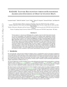 RADAM: Texture Recognition through Randomized Aggregated Encoding of
  Deep Activation Maps