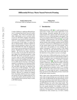 Differential Privacy Meets Neural Network Pruning