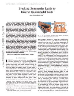Breaking Symmetries Leads to Diverse Quadrupedal Gaits