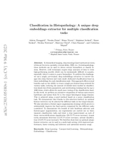 Classification in Histopathology: A unique deep embeddings extractor for
  multiple classification tasks