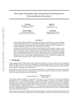 Dynamic Stashing Quantization for Efficient Transformer Training