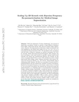 Scaling Up 3D Kernels with Bayesian Frequency Re-parameterization for
  Medical Image Segmentation
