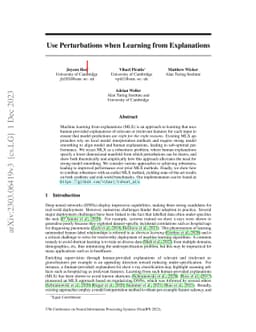 Use Perturbations when Learning from Explanations