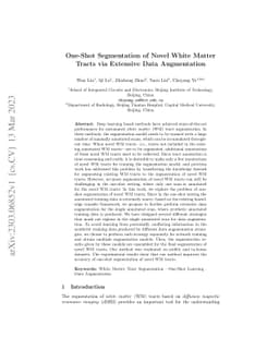 One-Shot Segmentation of Novel White Matter Tracts via Extensive Data
  Augmentation