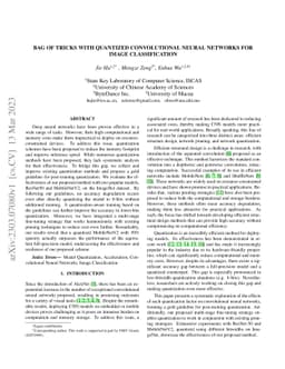 Bag of Tricks with Quantized Convolutional Neural Networks for image
  classification