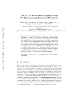 PMC-CLIP: Contrastive Language-Image Pre-training using Biomedical
  Documents
