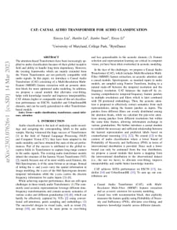 CAT: Causal Audio Transformer for Audio Classification