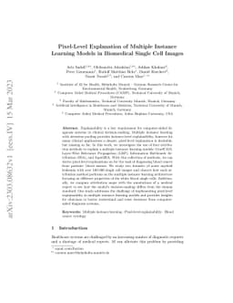 Pixel-Level Explanation of Multiple Instance Learning Models in
  Biomedical Single Cell Images