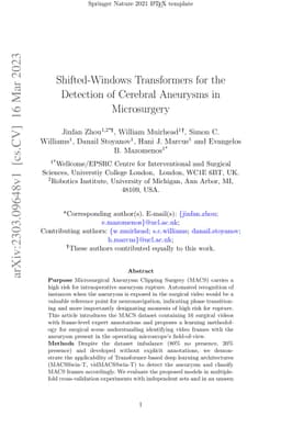 Shifted-Windows Transformers for the Detection of Cerebral Aneurysms in
  Microsurgery